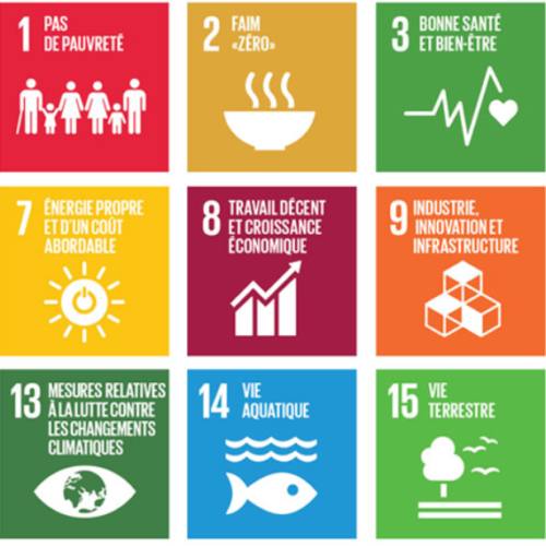 Screenshot_2020-10-09 L'UNESCO et les objectifs de développement durable